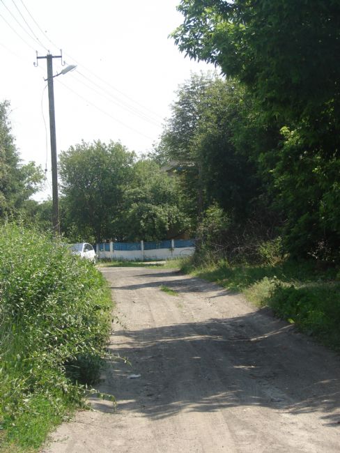 Site of the murder of Baryshevka's Jews