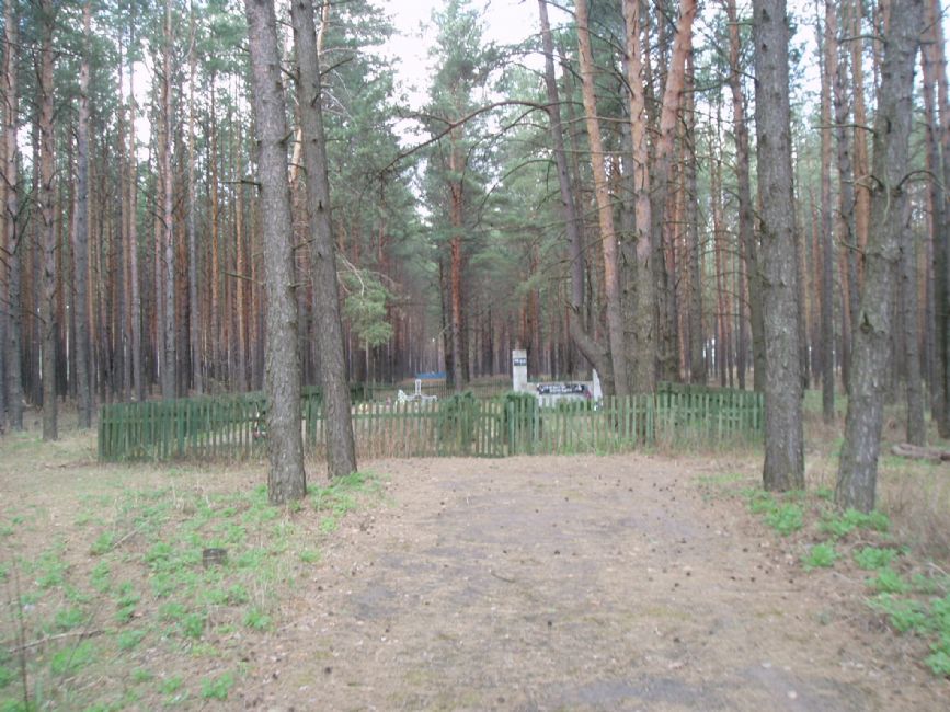 Kaganovich Forest murder site of Kaganovich Jews, contemporary view