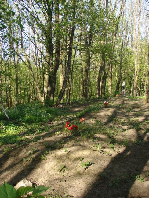 Murder Site of Yustingrad Jews in the forest near Konelskaya Popovka