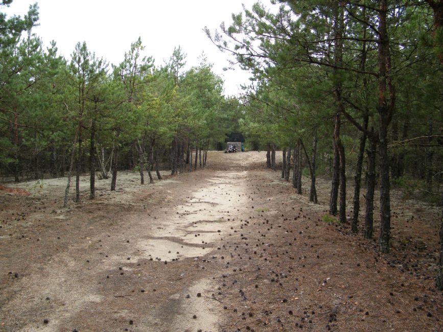 Current view of the murder site area