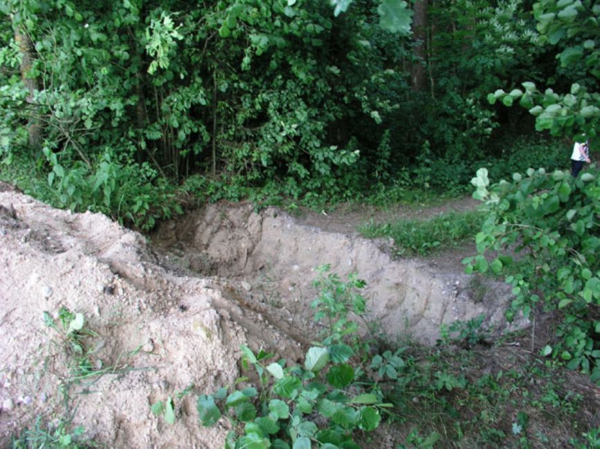 Strosiunai Forest murder site of Jewish men from Zasliai, Ziezmariai and Kaišiadorys, contemporary view