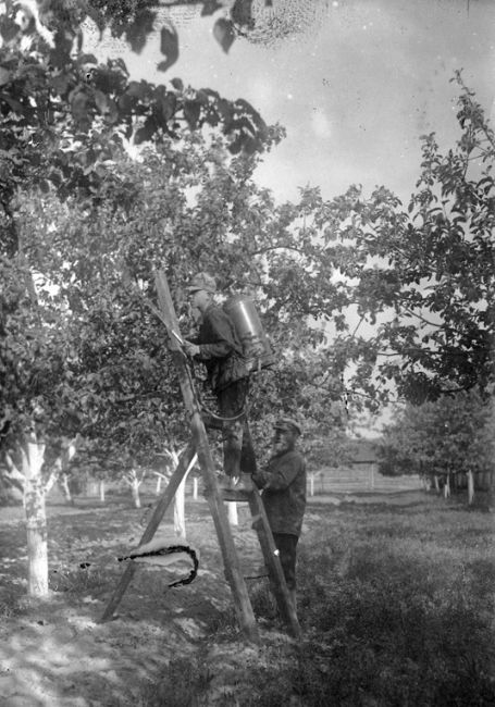 Garden of Abram Chernyak, Kozlovichi