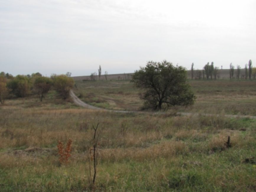 Agrobaza murder site