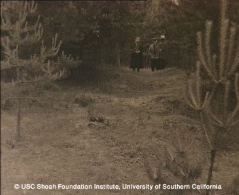Site of the murder of the Jews of Beshenkovichi. A photograph from the interview with Leonid Golbraikh, USC Shoa Foundation Institute, copy YVA O.93/42481