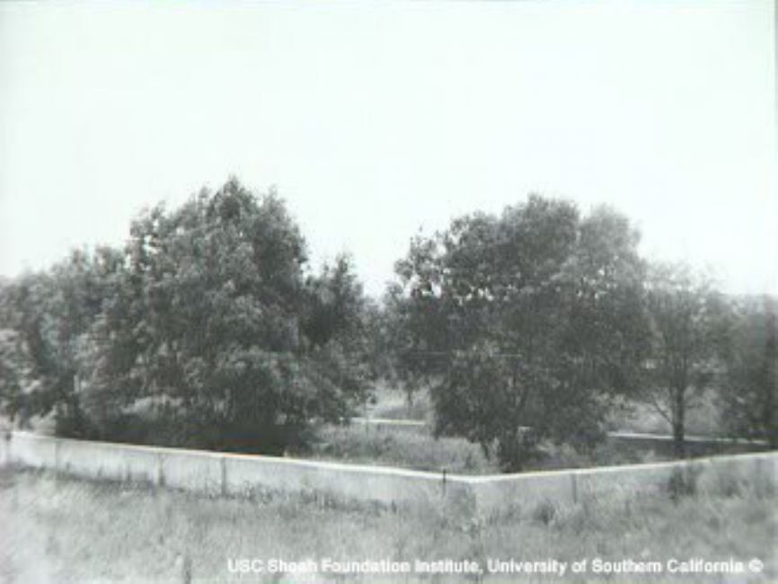 Site of the murder of Yaltushkov's Jews. A photograph from the interview with Raisa Petrogradskya, USC Shoa Foundation Institute, copy YVA O.93/14846