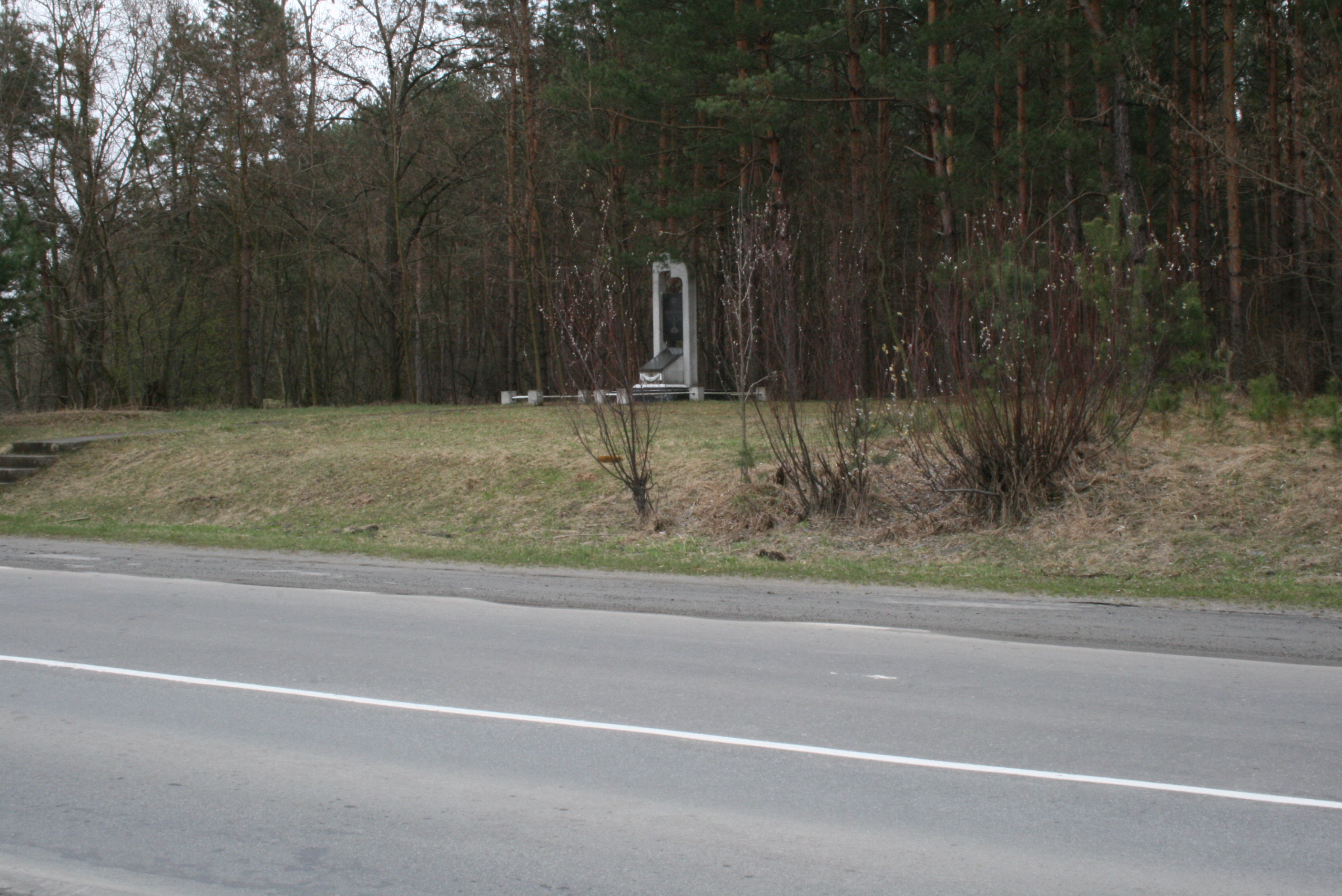 A present-day view (as of 2011) of the murder site area of the Jews of Ostróg, in the forest near Netishin.