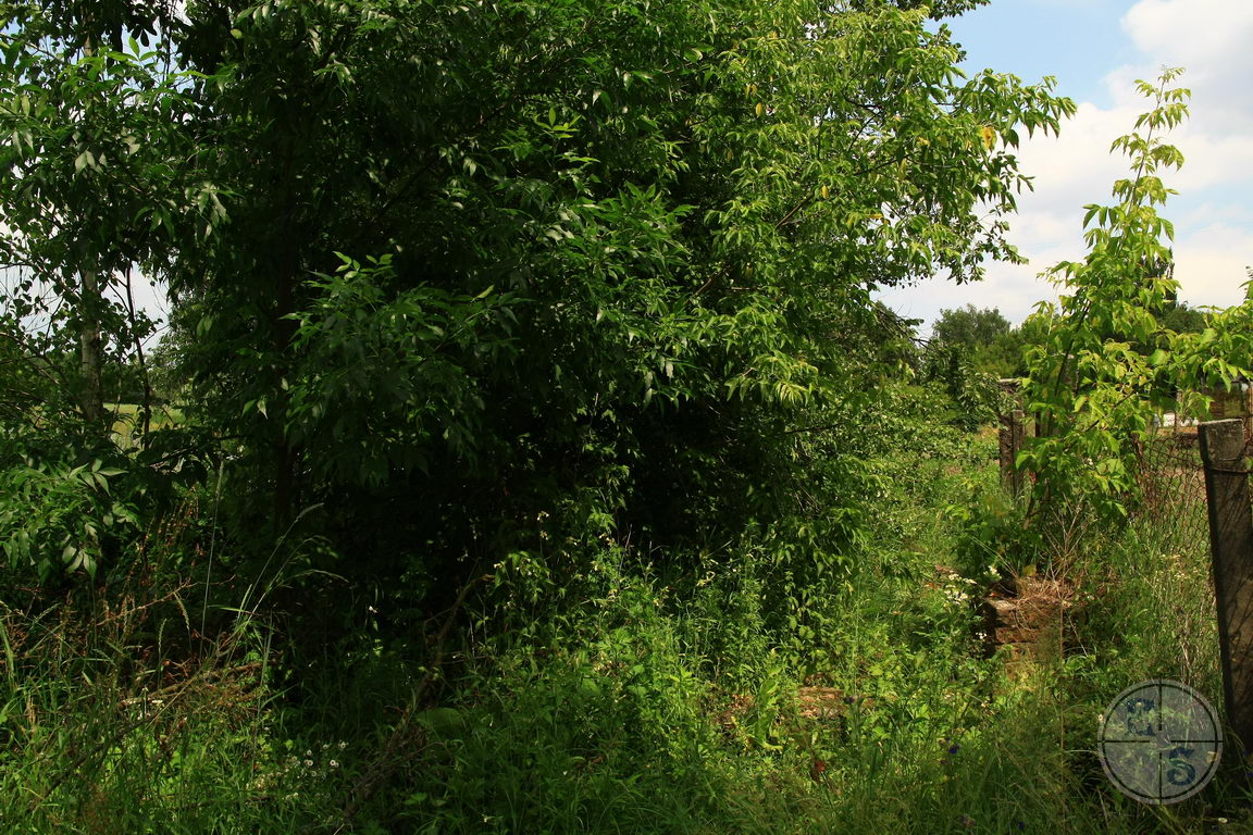 The former murder site of the Jews of Ushomir. Photographer: Eugene Shnaider, 2017.