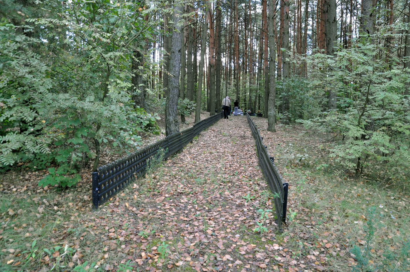 Former murder site of Ozarichi Jews on the Khomyachi Road. Photographer: 	Alexander Litin, 2011.